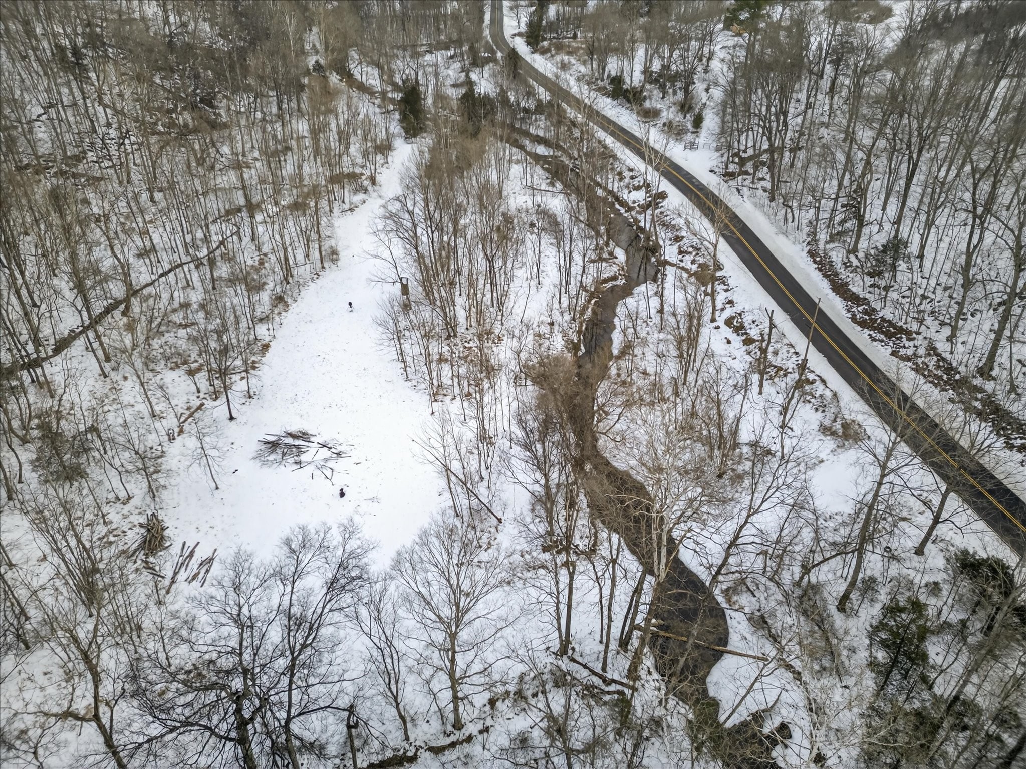 3712 Budds Creek Road Palmyra, TN 37142 - Photo 16 of 26 a view of mountain view with two trees