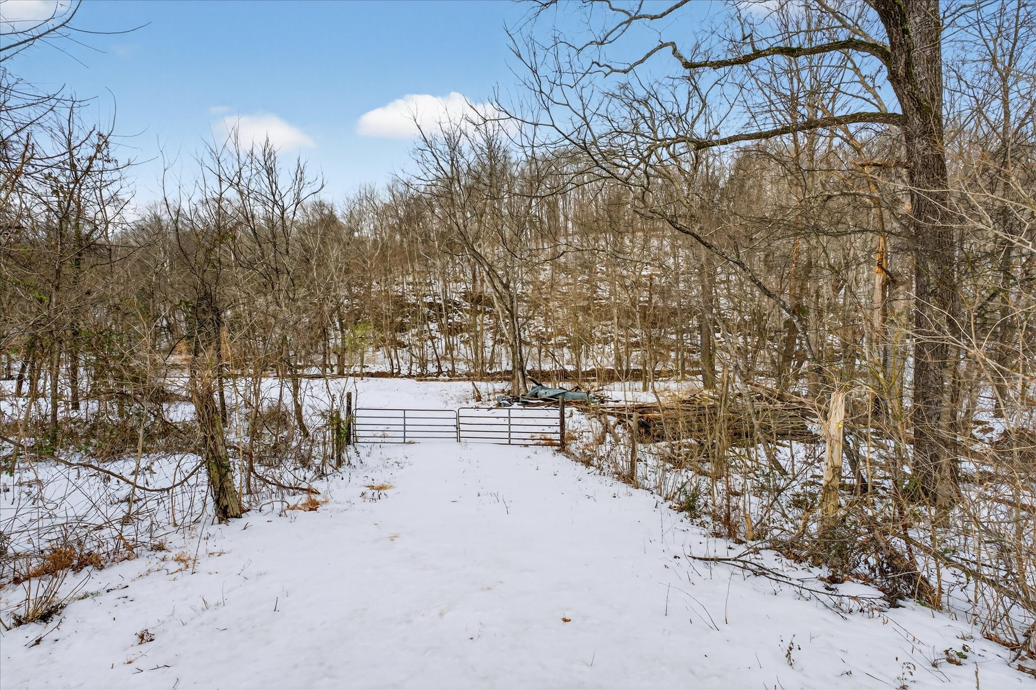 3712 Budds Creek Road Palmyra, TN 37142 - Photo 21 of 26 a view of outdoor space with patio