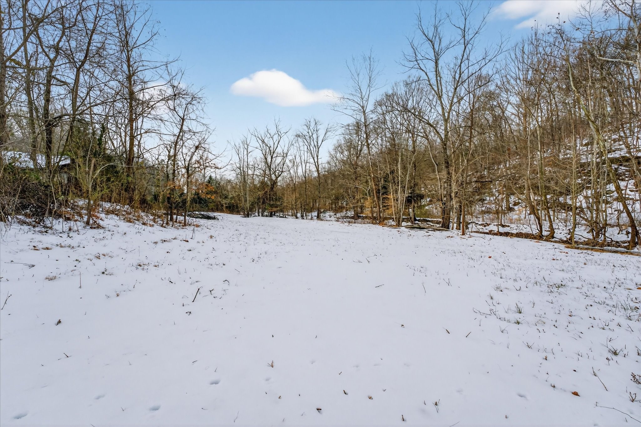 3712 Budds Creek Road Palmyra, TN 37142 - Photo 22 of 26 a view of snow on the road