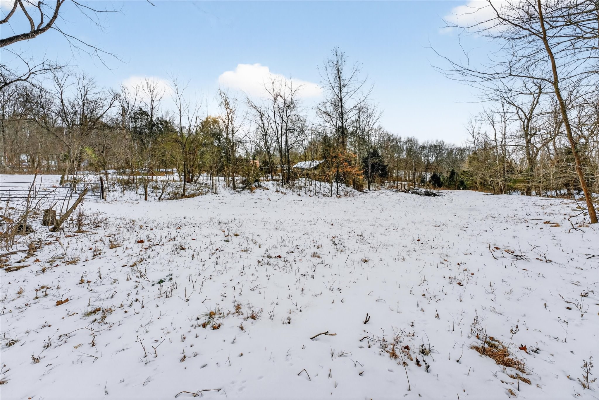 3712 Budds Creek Road Palmyra, TN 37142 - Photo 23 of 26 a view of snow on the road