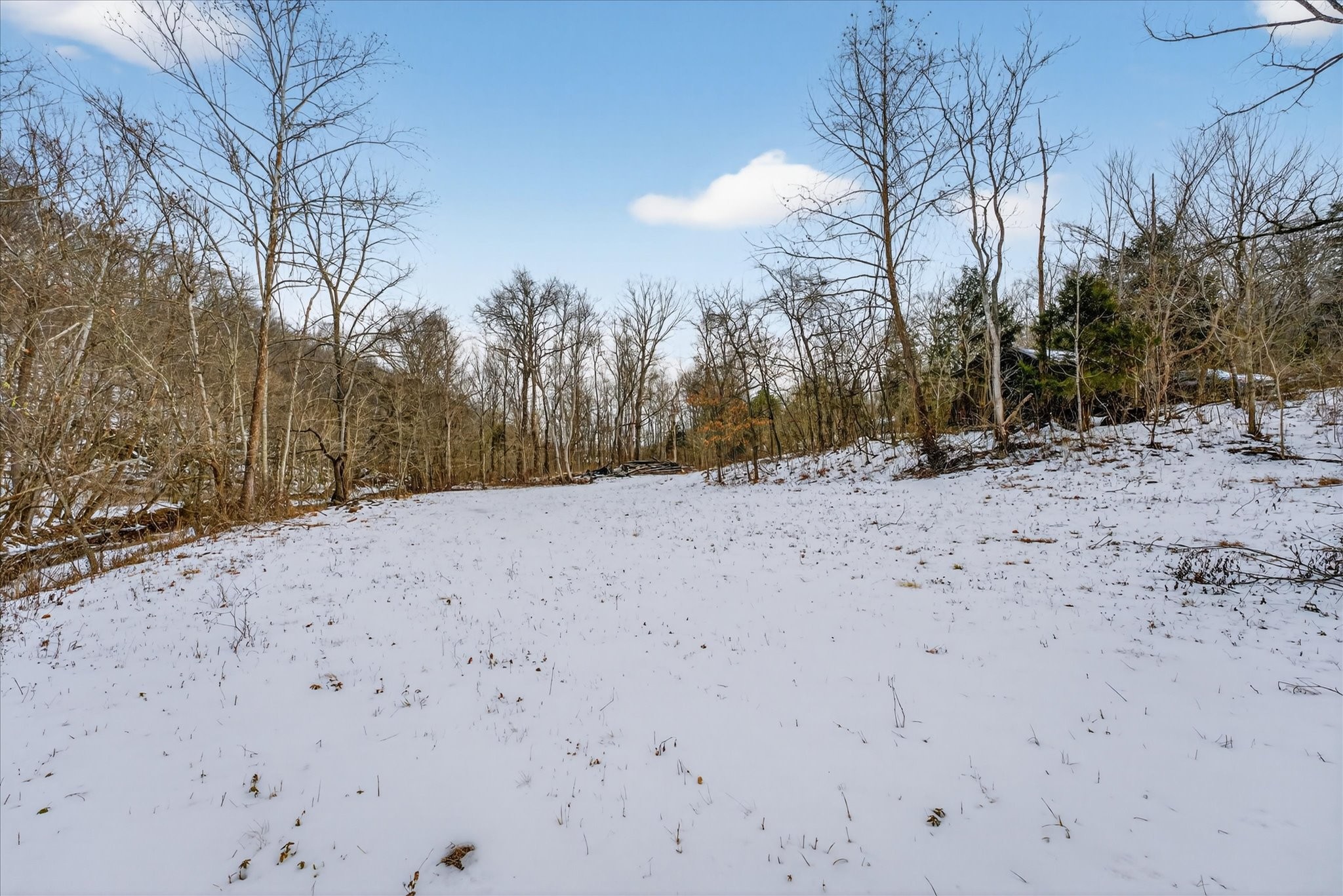 3712 Budds Creek Road Palmyra, TN 37142 - Photo 25 of 26 a view of a dry yard covered in snow