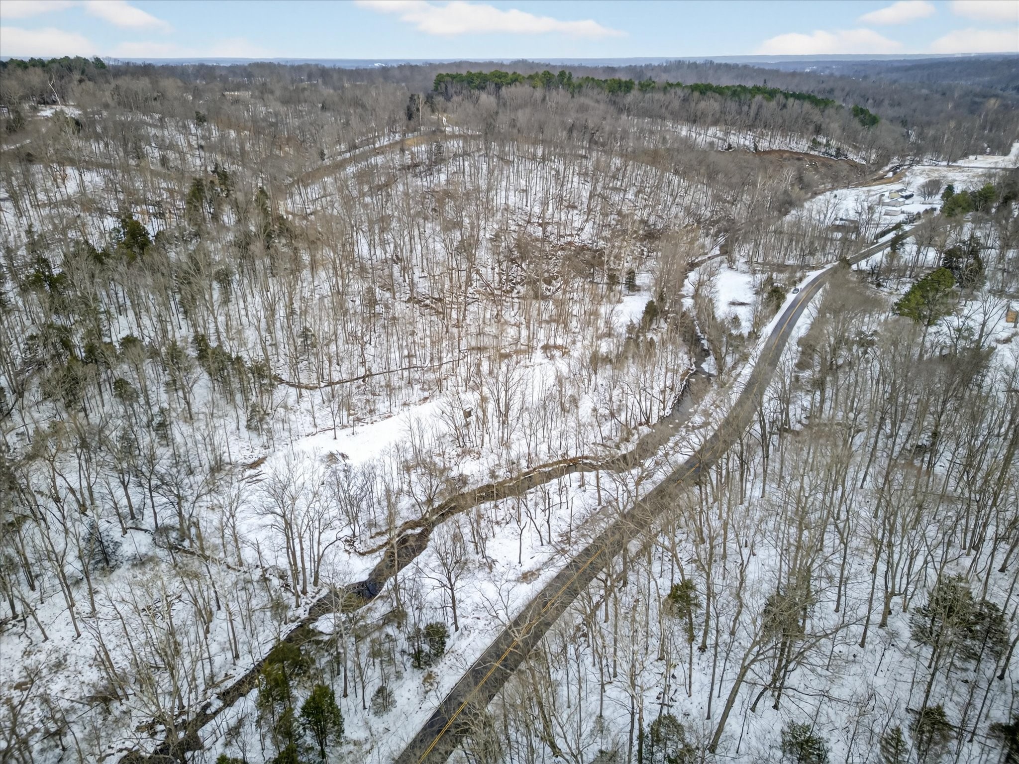 3712 Budds Creek Road Palmyra, TN 37142 - Photo 5 of 26 a view of a forest with a mountain