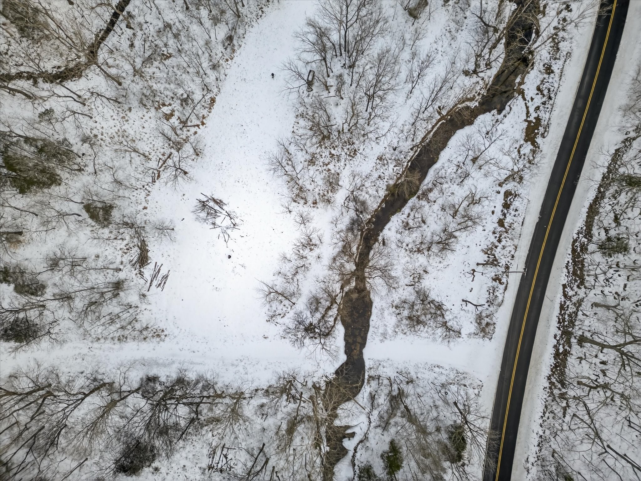 3712 Budds Creek Road Palmyra, TN 37142 - Photo 8 of 26 a view of a dry yard with lots of trees