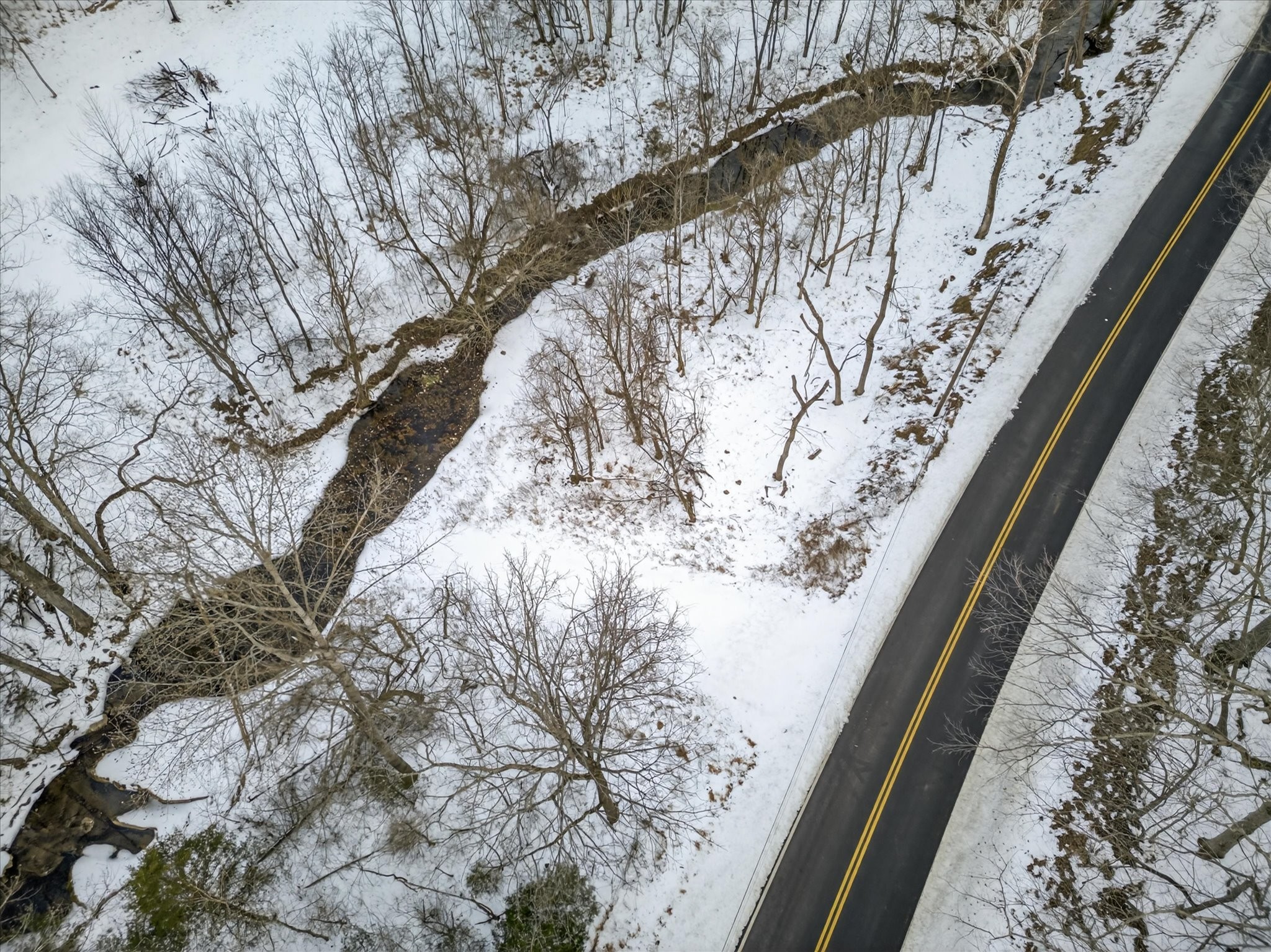 3712 Budds Creek Road Palmyra, TN 37142 - Photo 9 of 26