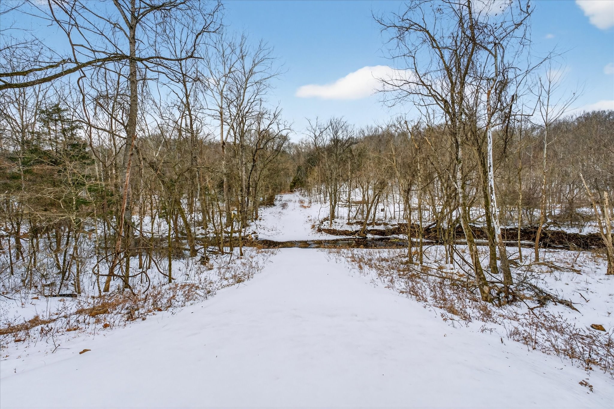 3712 Budds Creek Road Palmyra, TN 37142 - Photo 10 of 26 a view of large trees with of a yard