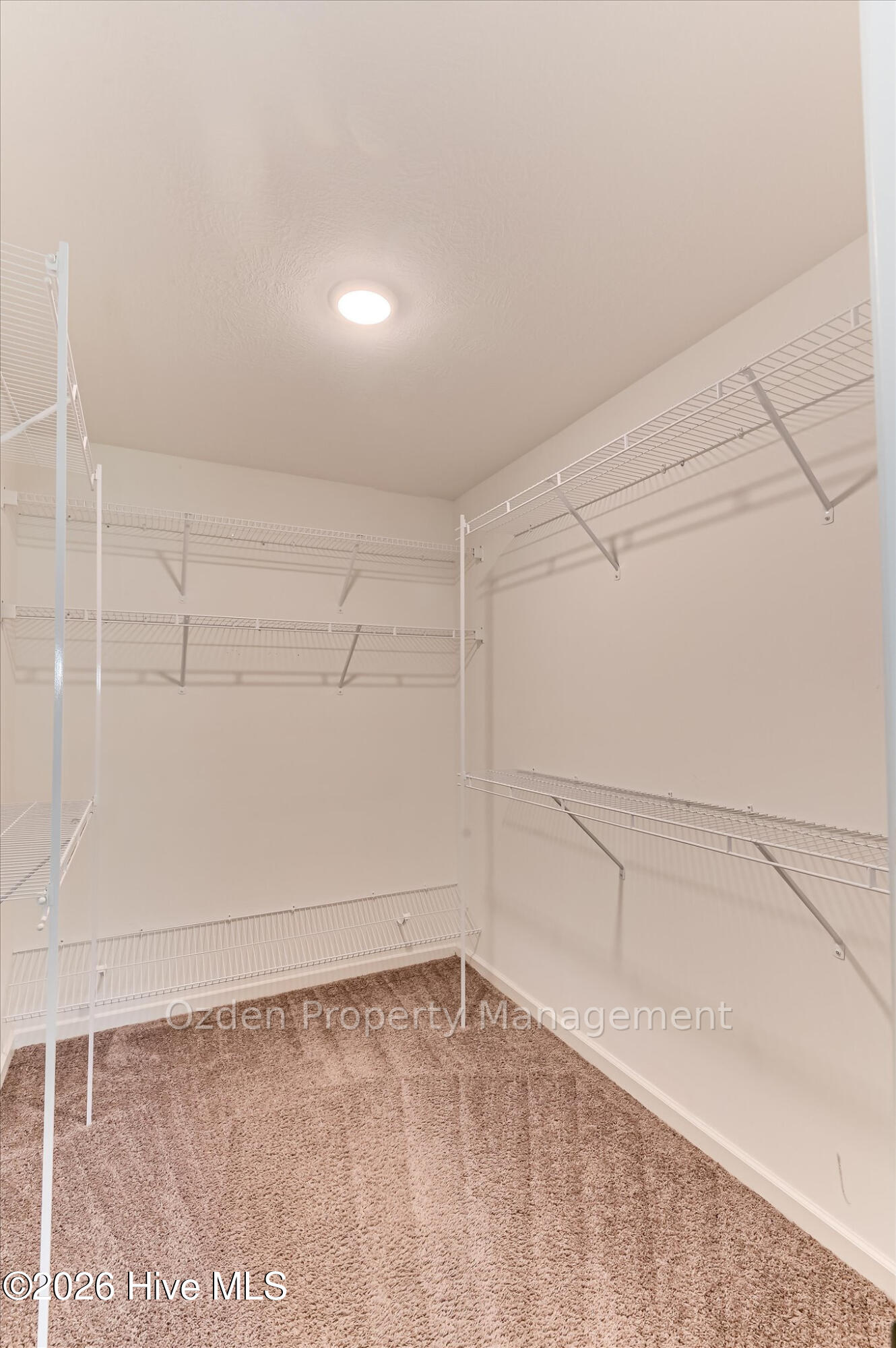 934 Mulford Loop Augusta, GA 30909 - Photo 22 of 30 Gallery Image 22