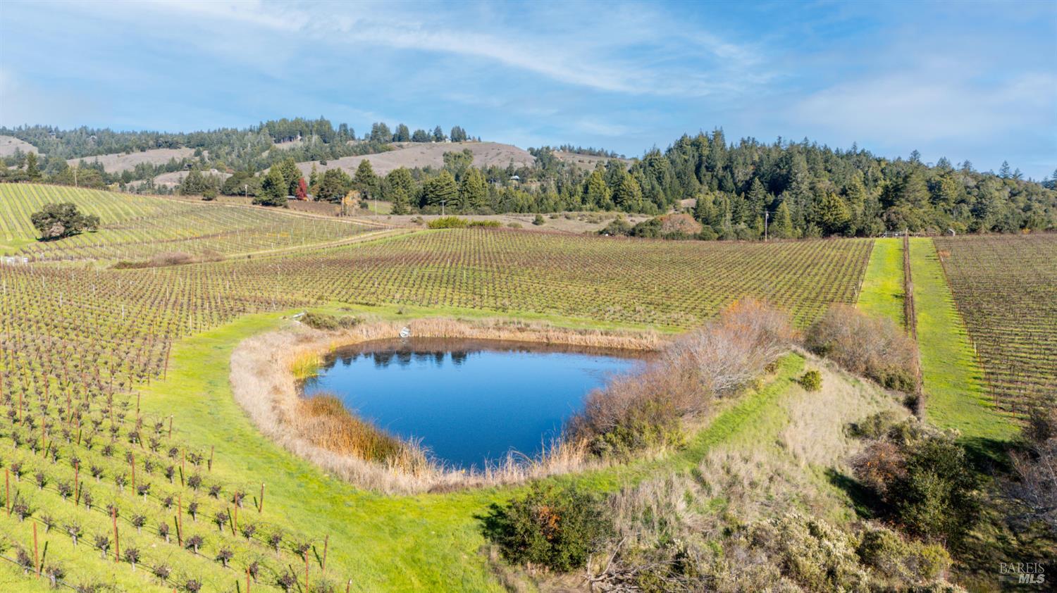 2300 Guntly Road Philo, CA 95466 - Photo 2 of 17