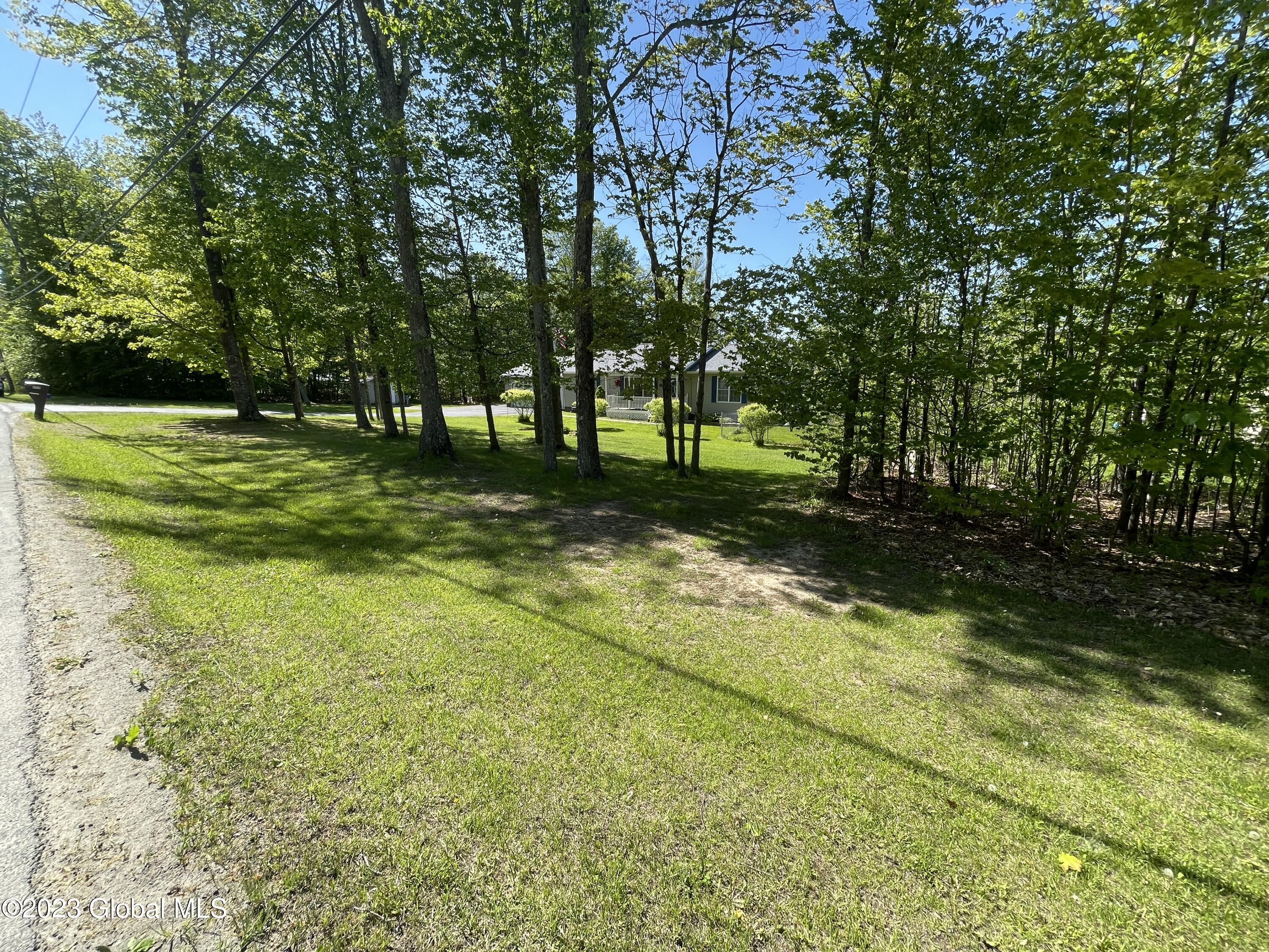 2059 Mudge Road Delanson, NY 12053 - Photo 29 of 65 IMG_5565