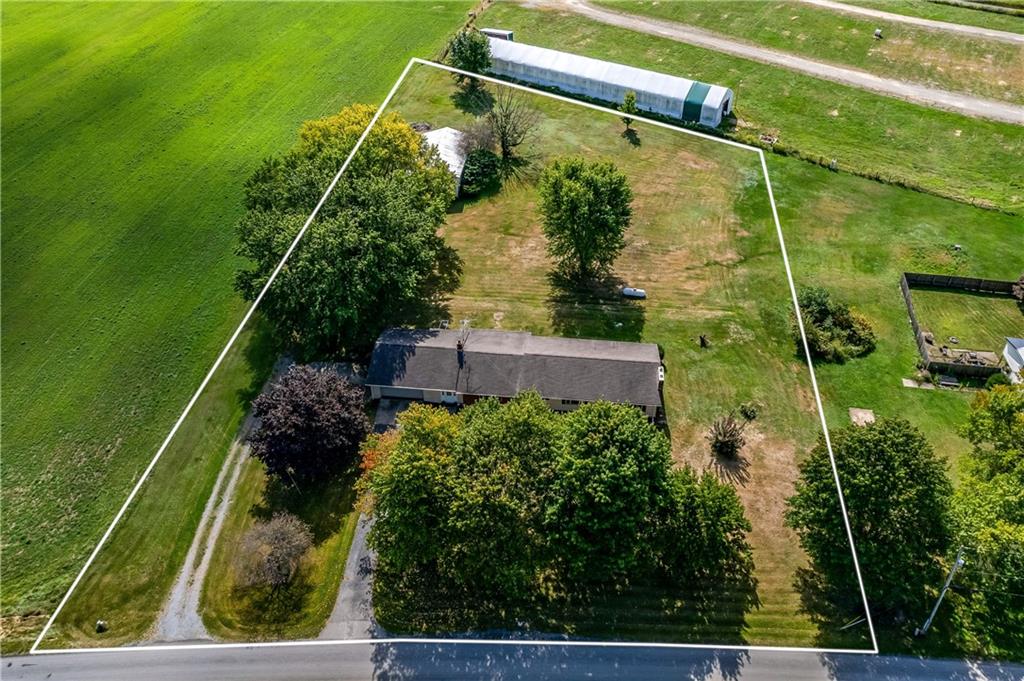 738 Fredonia Road Stoneboro, PA 16153 - Photo 5 of 38 a view of a garden