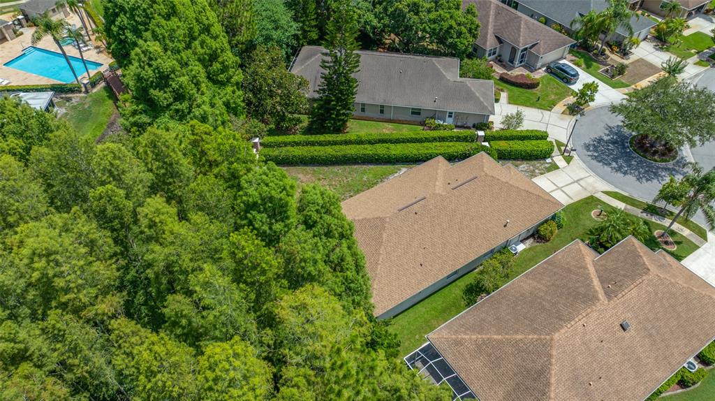 7740 Craighurst Loop Trinity, FL 34655 - Photo 59 of 65