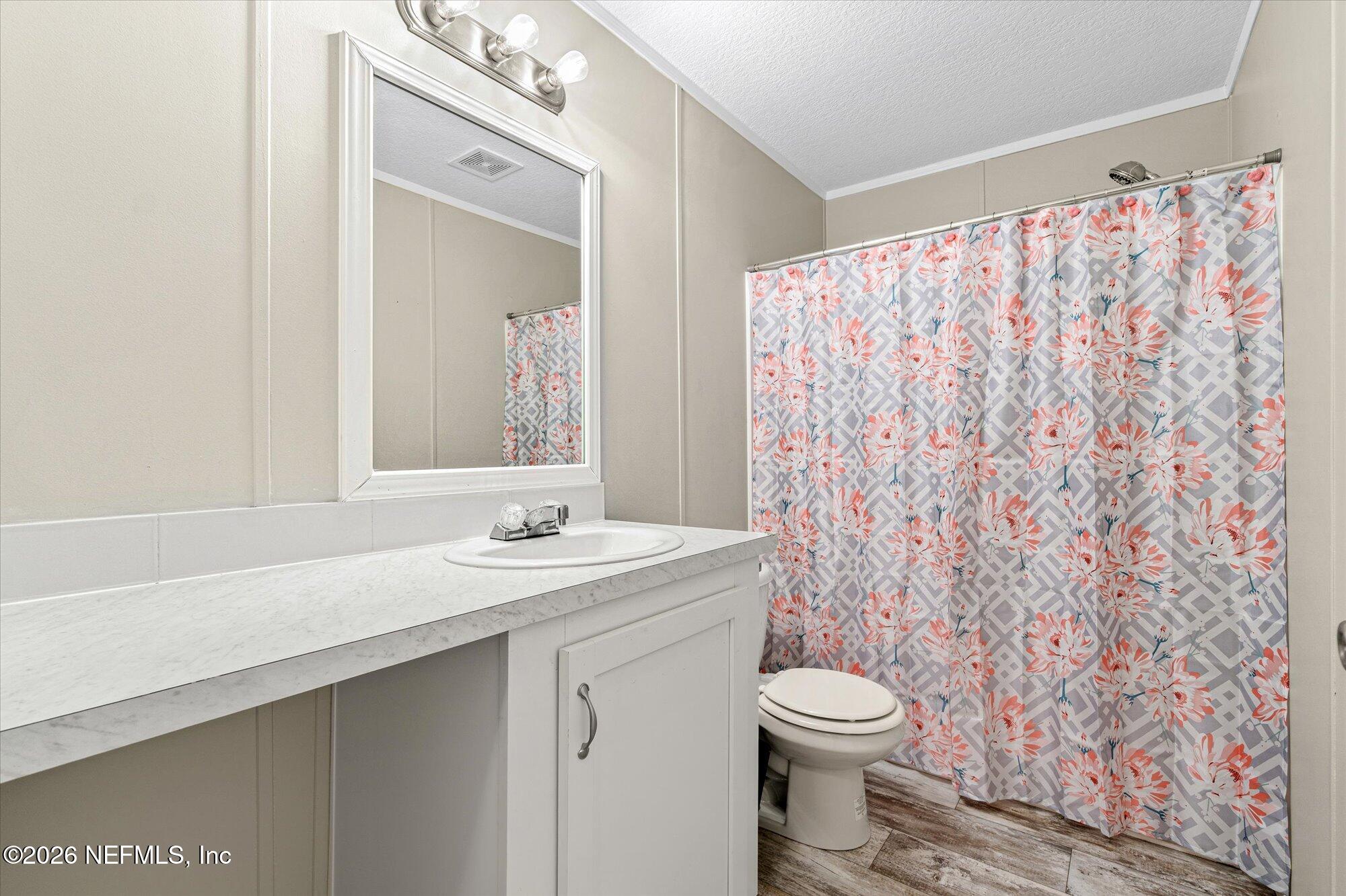 130 Sisco Road Pomona Park, FL 32181 - Photo 24 of 43 a bathroom with a granite countertop sink a toilet and a mirror