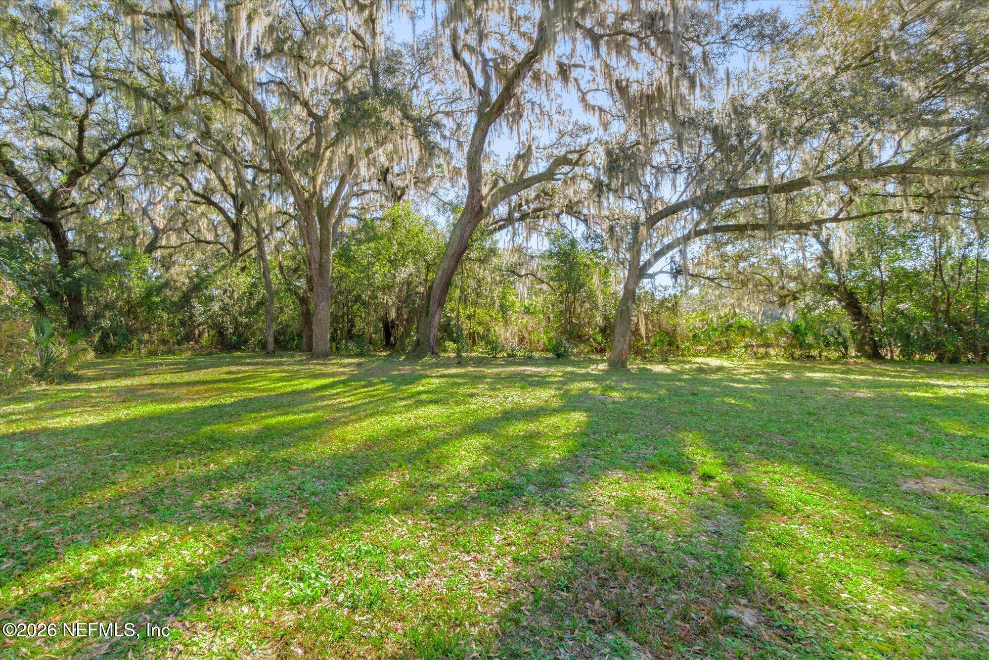 130 Sisco Road Pomona Park, FL 32181 - Photo 3 of 43 a view of garden with trees