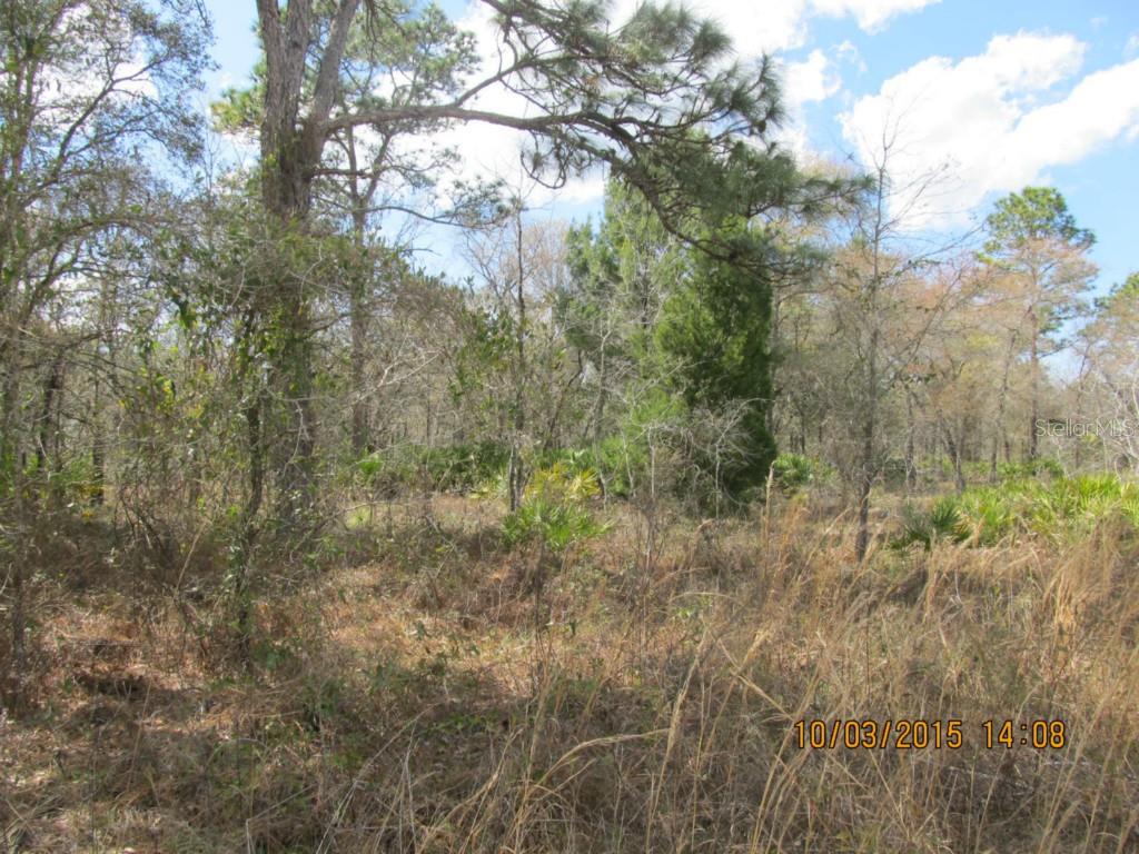 15158 Mocking Wren Road Weeki Wachee, FL 34614 - Photo 1 of 1 Gallery Image 1