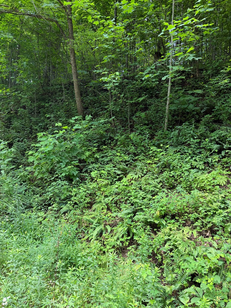 0 Outlook Road Murphy, NC 28906 - Photo 3 of 6