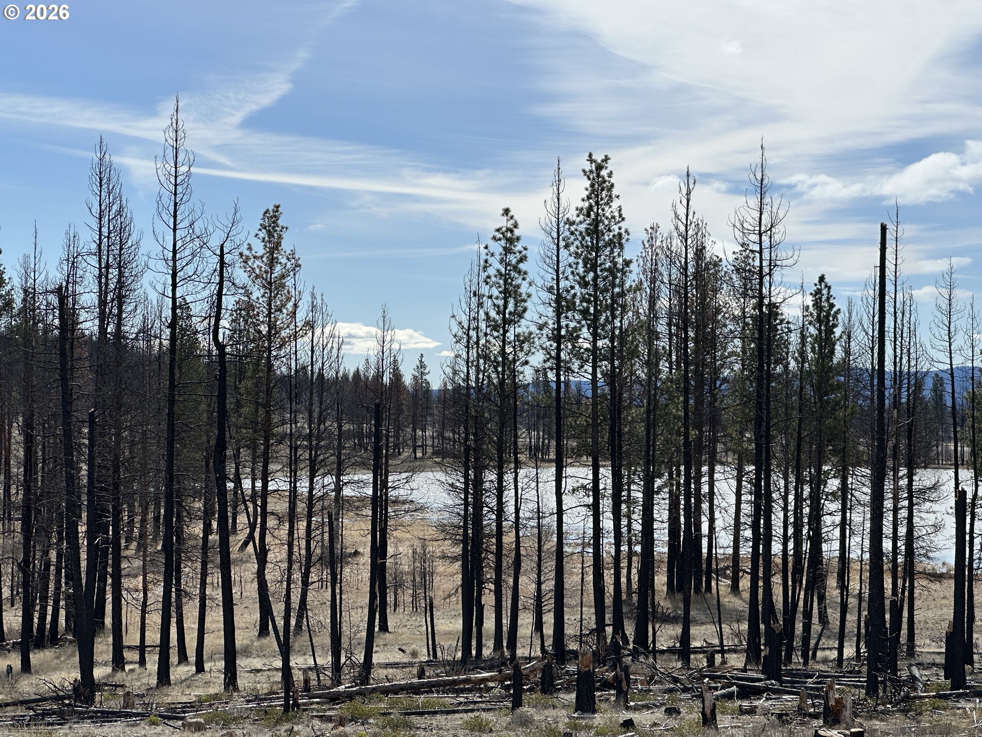 Hicks Road, Unit 400 Bly, OR 97622 - Photo 22 of 39