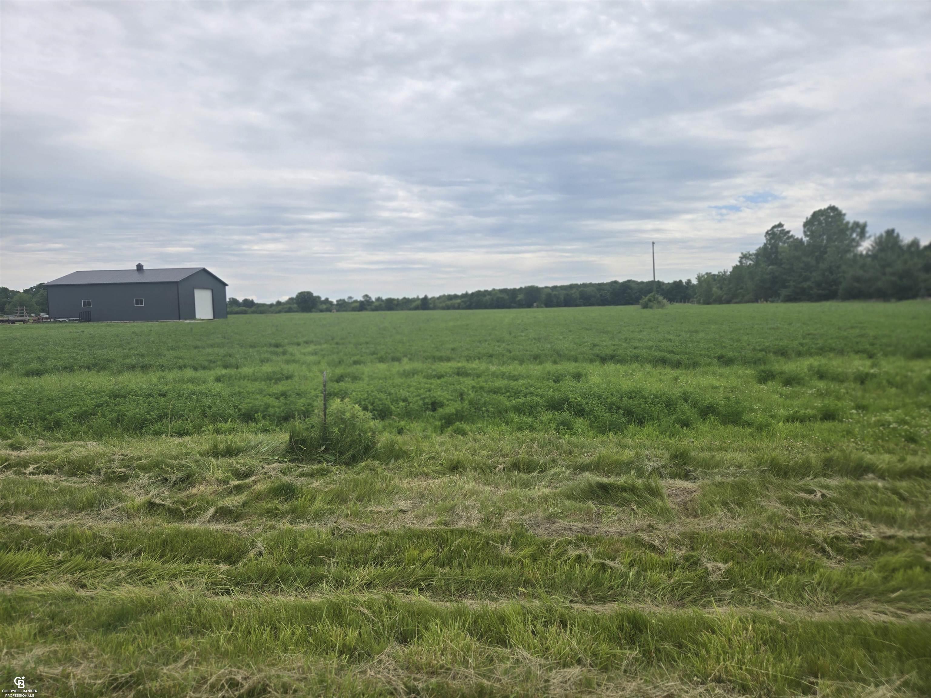 0 Imlay City Vl Road Avoca, MI 48006 - Photo 14 of 18