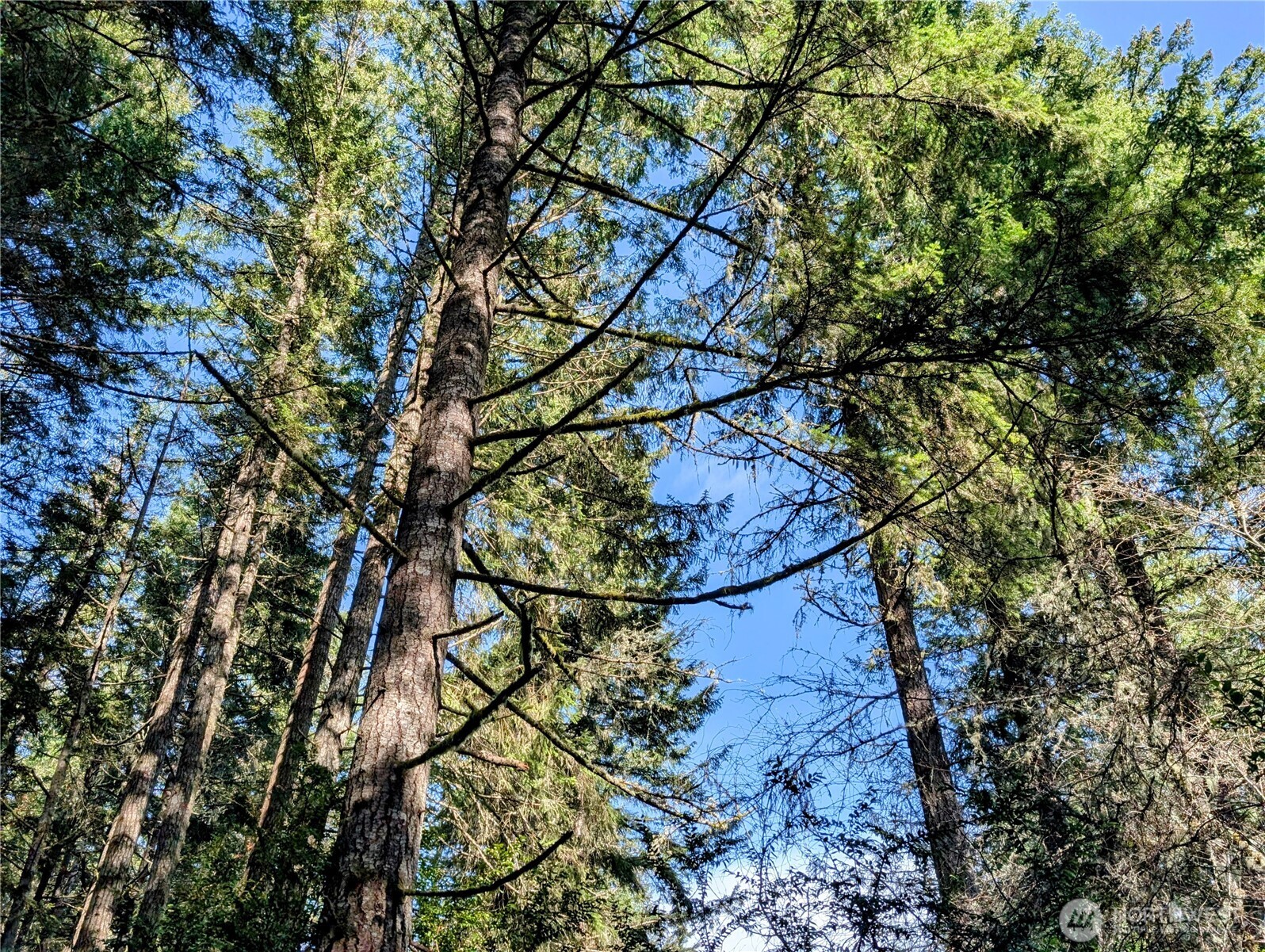 0 30th Street Southwest Lakebay, WA 98349 - Photo 12 of 27