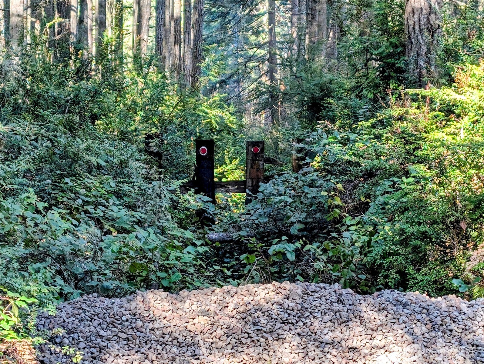 0 30th Street Southwest Lakebay, WA 98349 - Photo 2 of 27