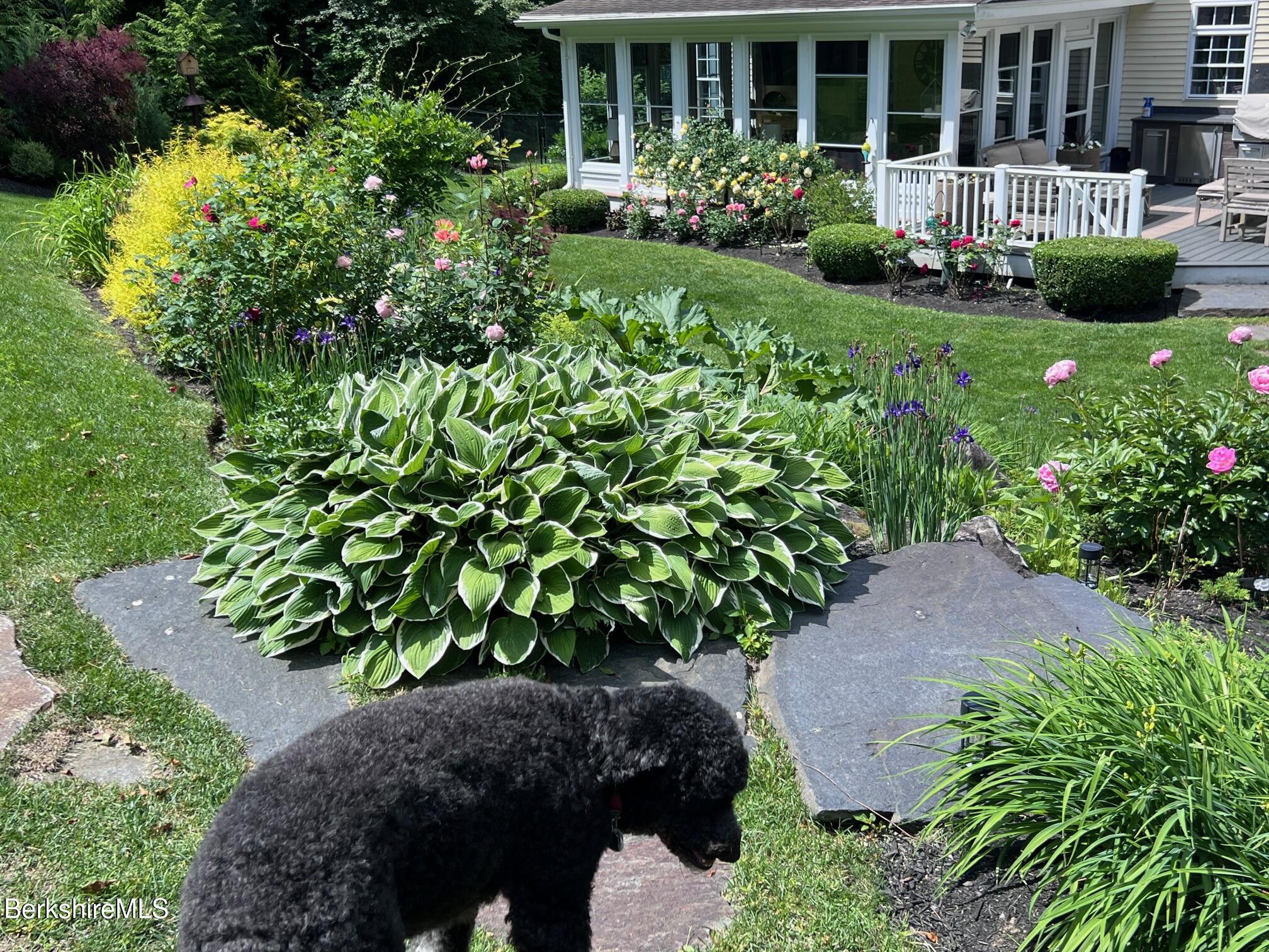 130 East Dugway Road Lenox, MA 01240 - Photo 58 of 89 a view of a garden with a bench in garden