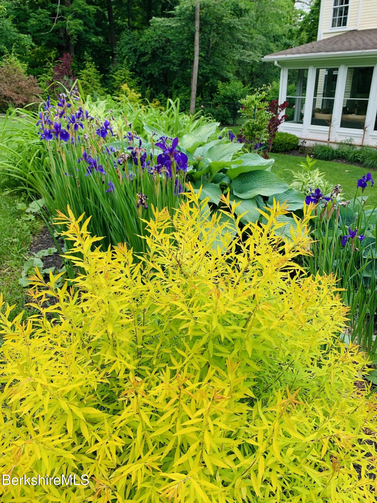 130 East Dugway Road Lenox, MA 01240 - Photo 61 of 89 IMG_6056