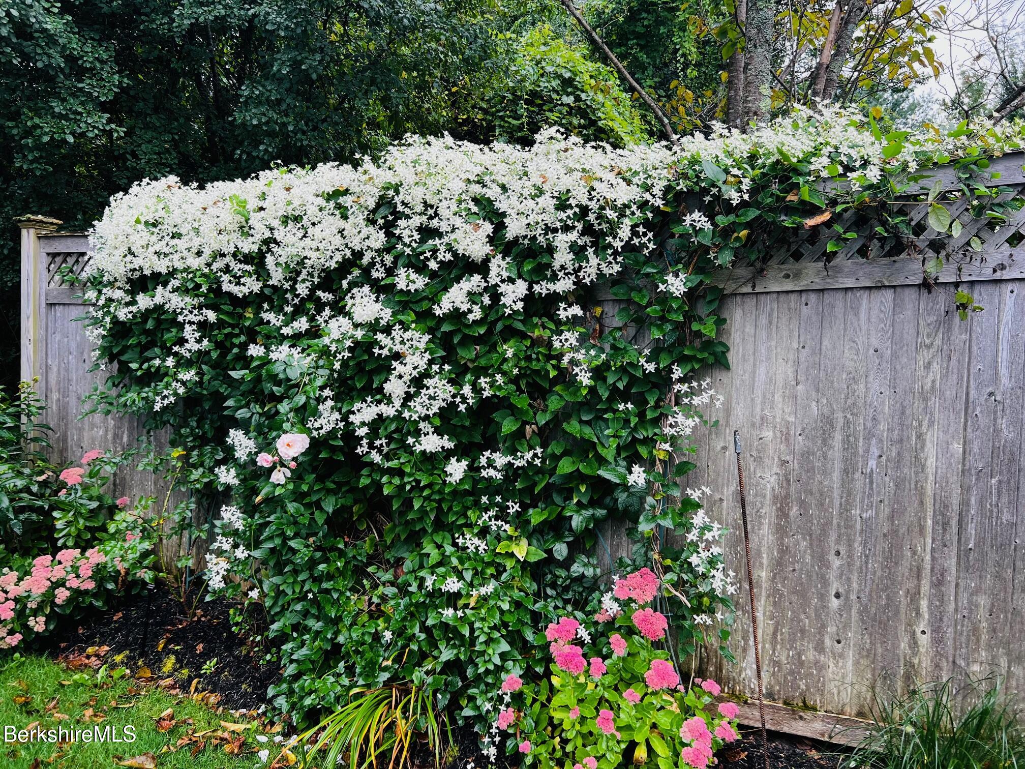 130 East Dugway Road Lenox, MA 01240 - Photo 63 of 89 IMG_7713