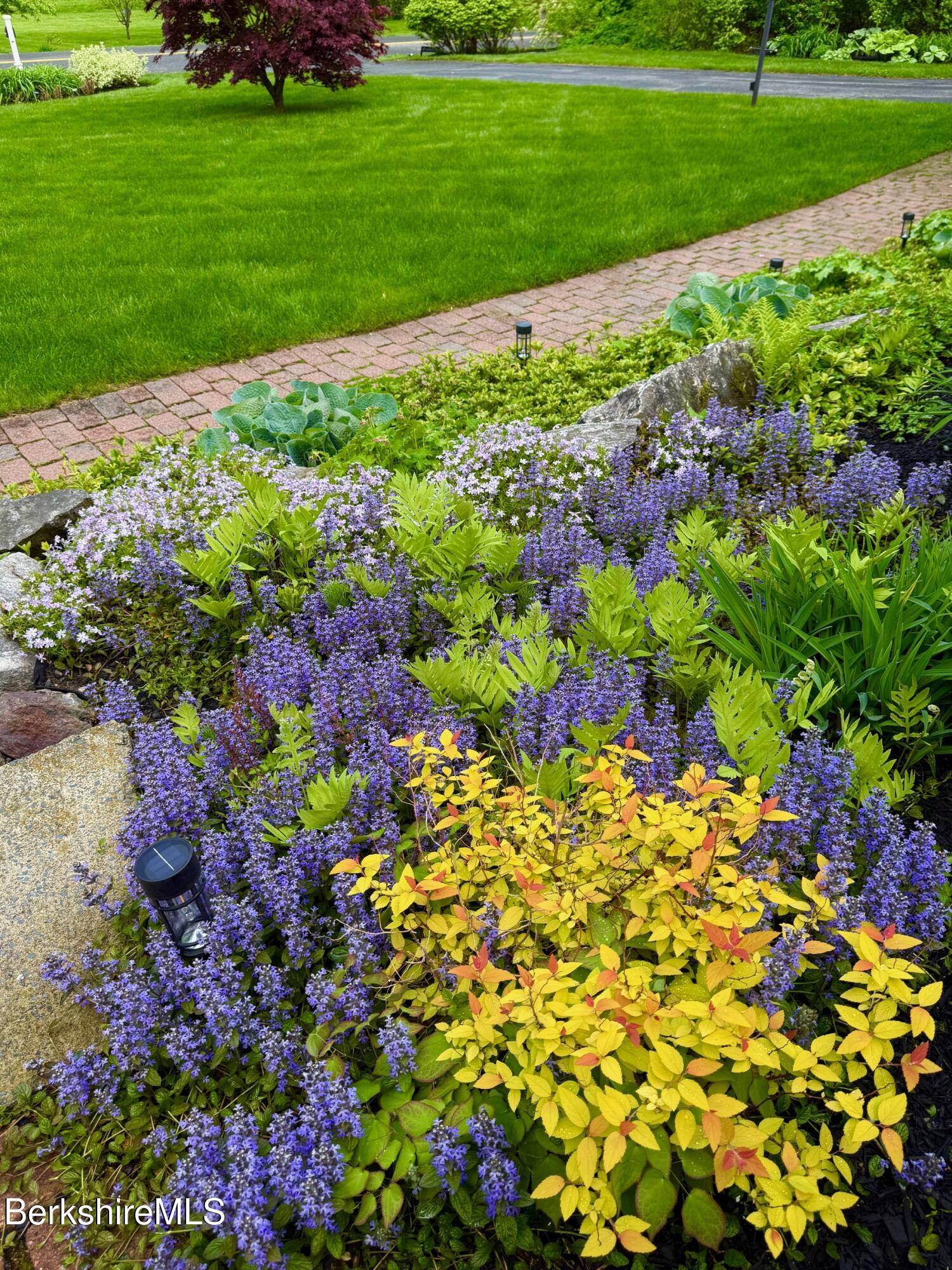 130 East Dugway Road Lenox, MA 01240 - Photo 64 of 89 a bunch of flowers in a garden