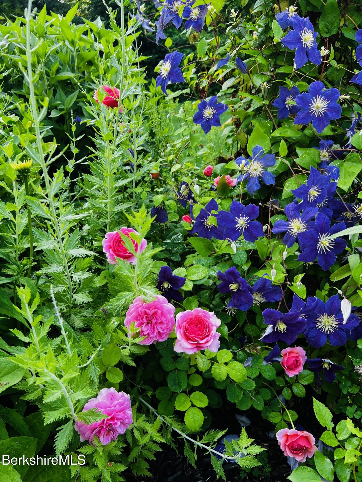 130 East Dugway Road Lenox, MA 01240 - Photo 65 of 89 IMG_6791