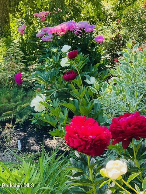 130 East Dugway Road Lenox, MA 01240 - Photo 67 of 89 IMG_6242