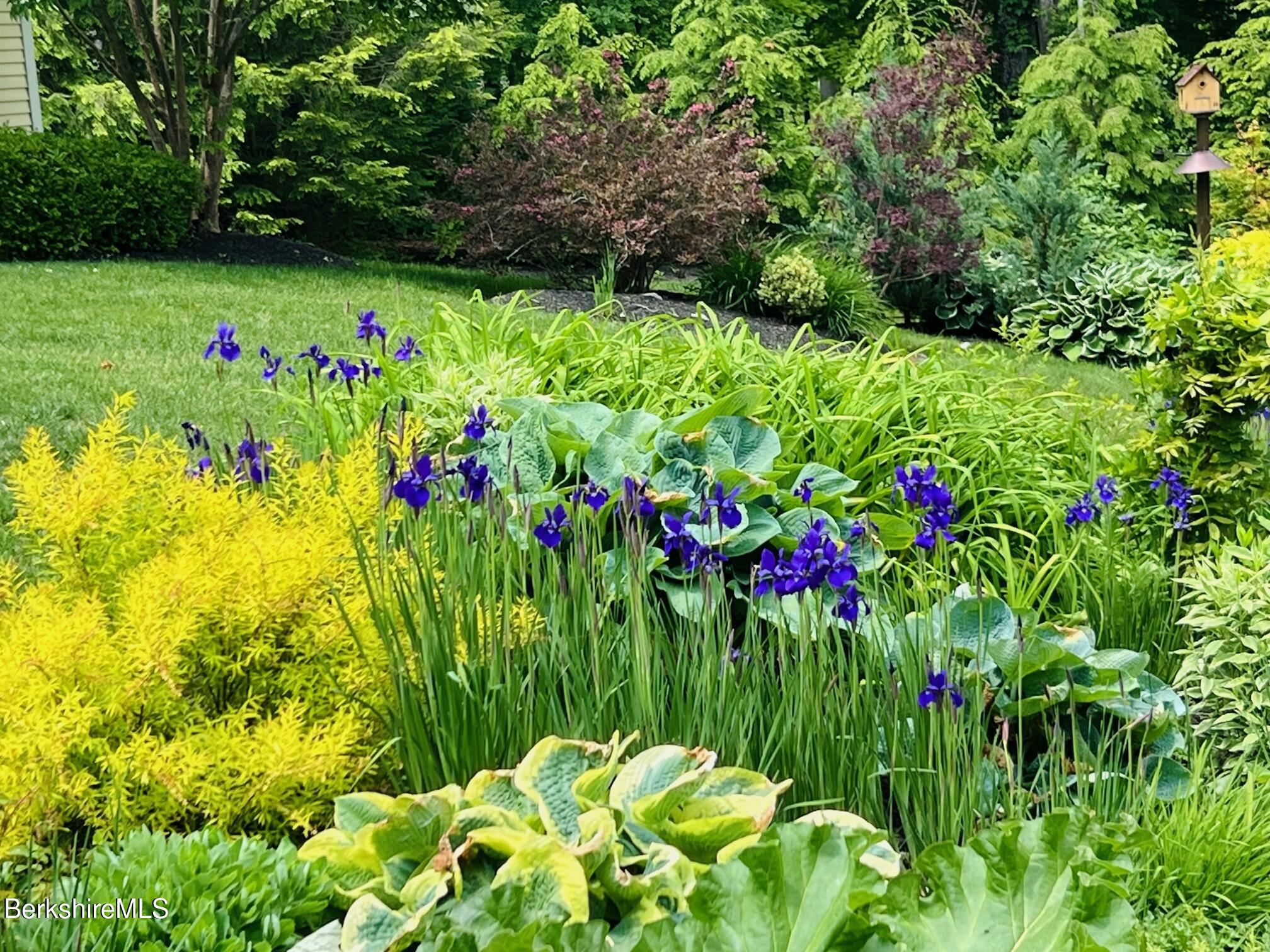 130 East Dugway Road Lenox, MA 01240 - Photo 77 of 89 IMG_5905