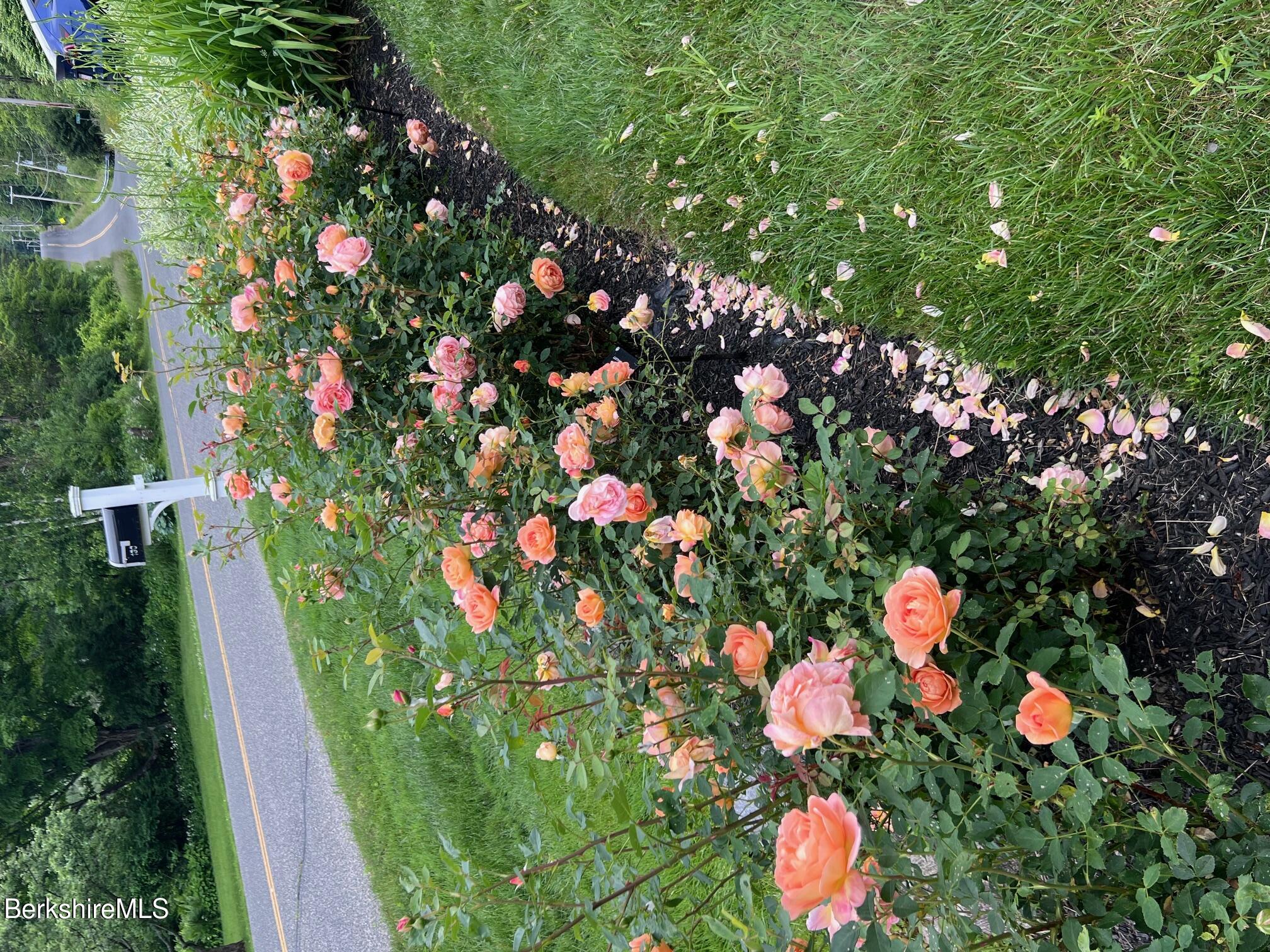 130 East Dugway Road Lenox, MA 01240 - Photo 78 of 89 a picture of flowers