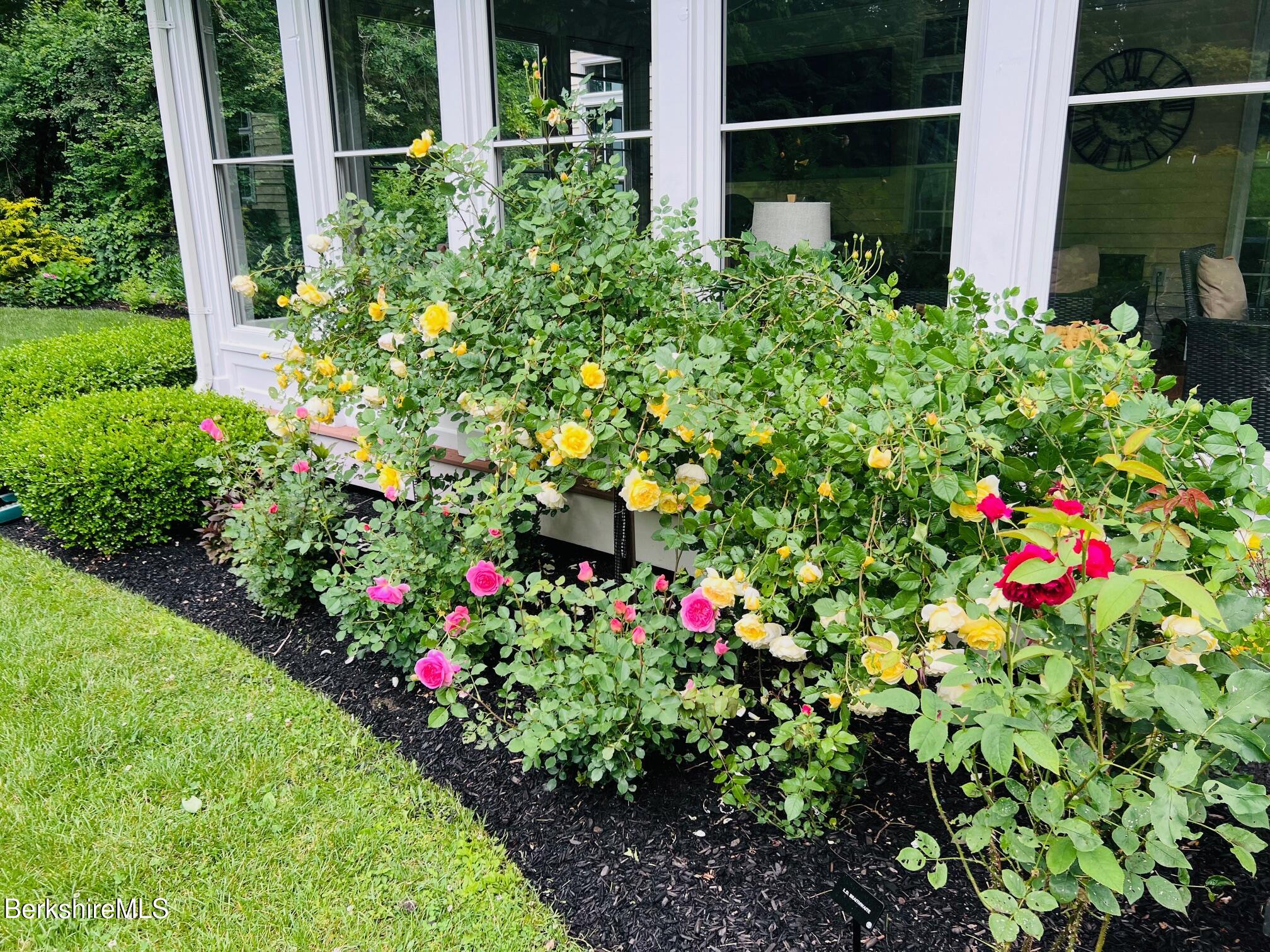 130 East Dugway Road Lenox, MA 01240 - Photo 79 of 89 a view of a flower in a garden with statue