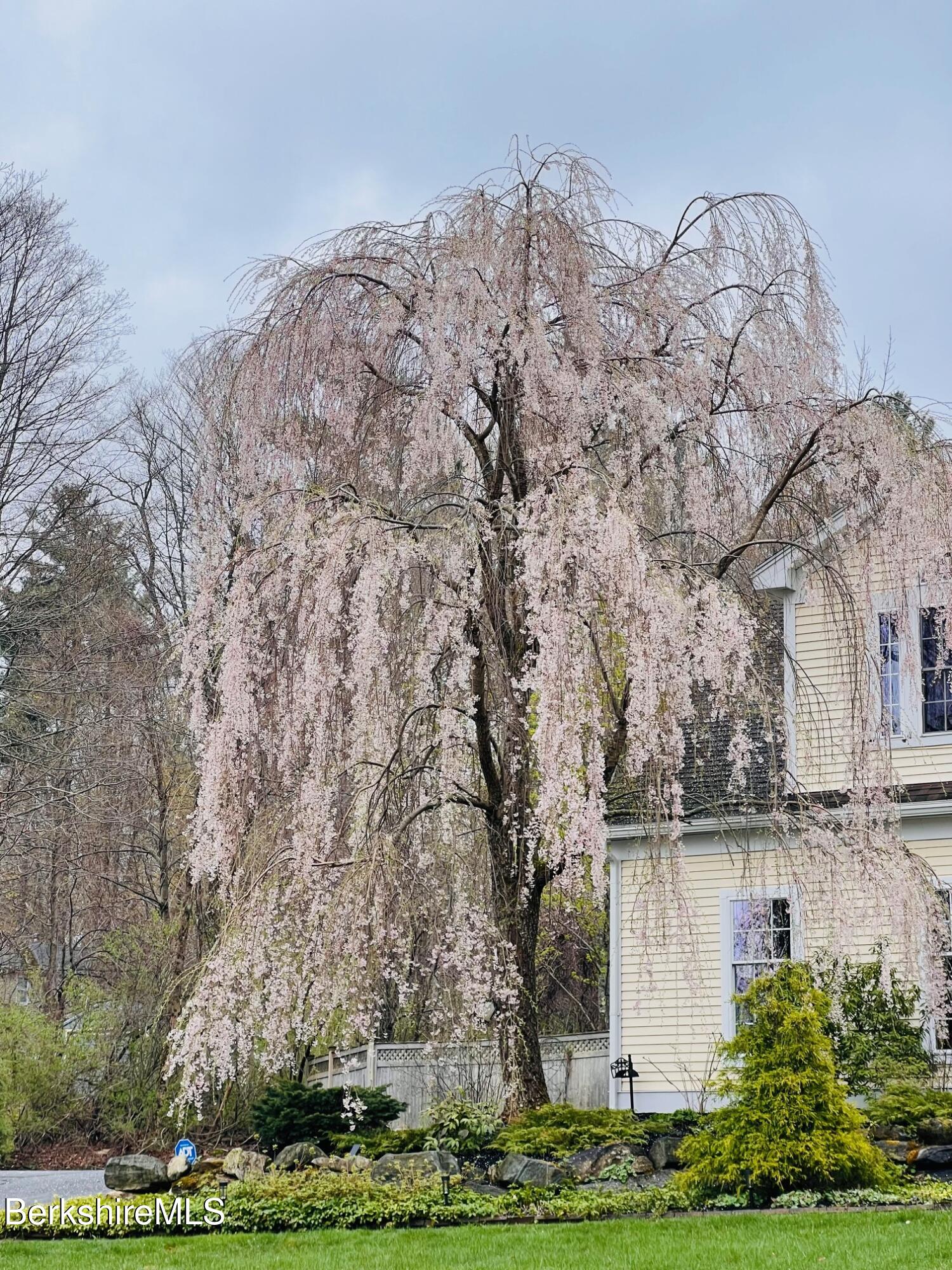 130 East Dugway Road Lenox, MA 01240 - Photo 80 of 89 a view of a house with a yard and large tree