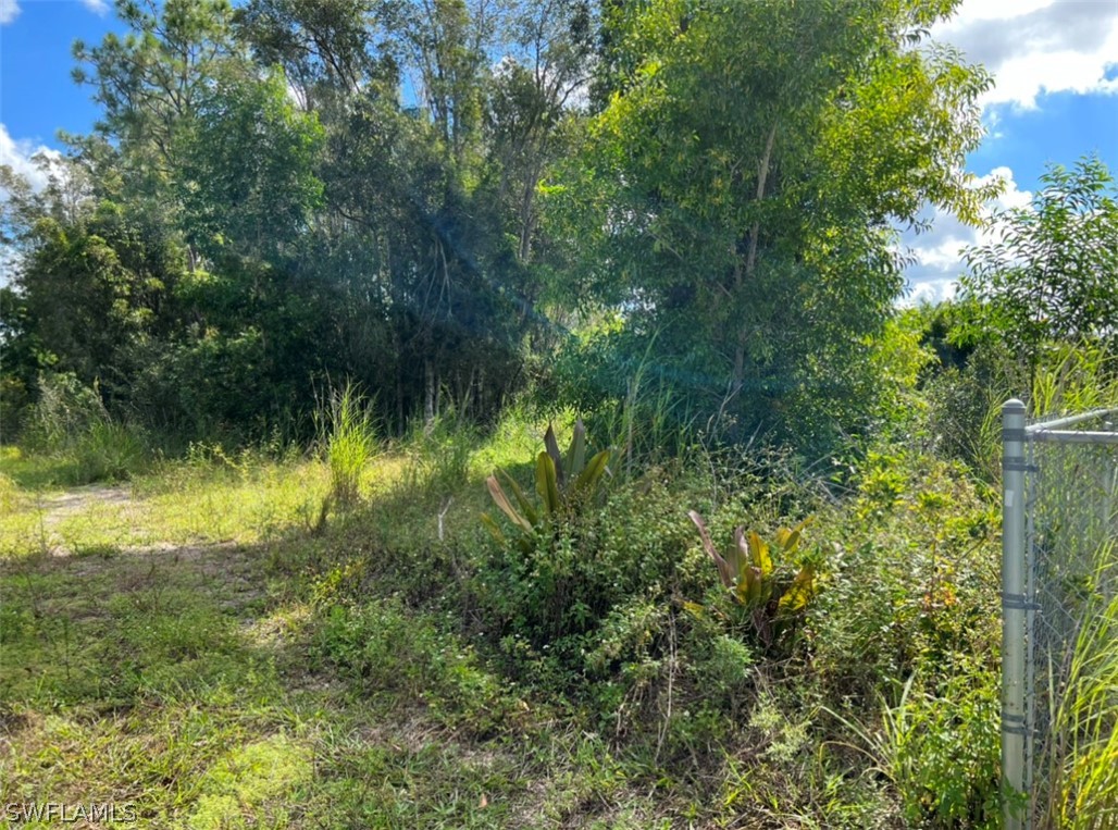 427 Jourferie Road Lehigh Acres, FL 33974 - Photo 8 of 10 a view of a garden