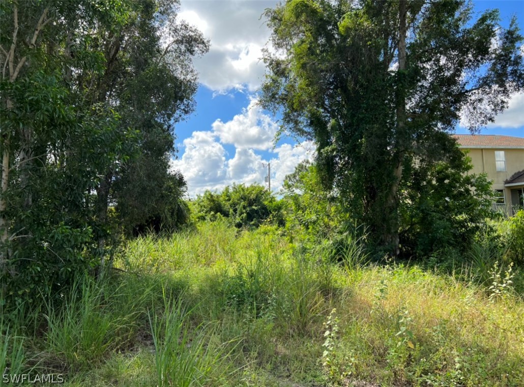427 Jourferie Road Lehigh Acres, FL 33974 - Photo 9 of 10 a view of a garden
