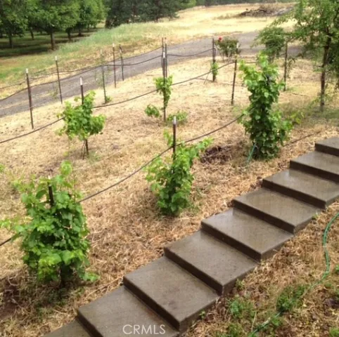 a view of garden with patio