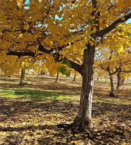 $485,000 | 25205 5th Avenue, Los Molinos, CA 96055