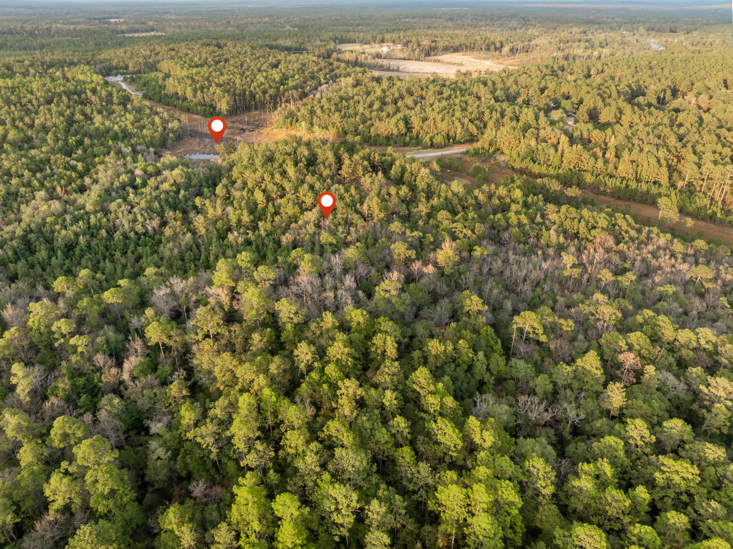 10.4 Pete Miles Road Lucedale, MS 39452 - Photo 23 of 25 00_Pete_Miles_Rd-23