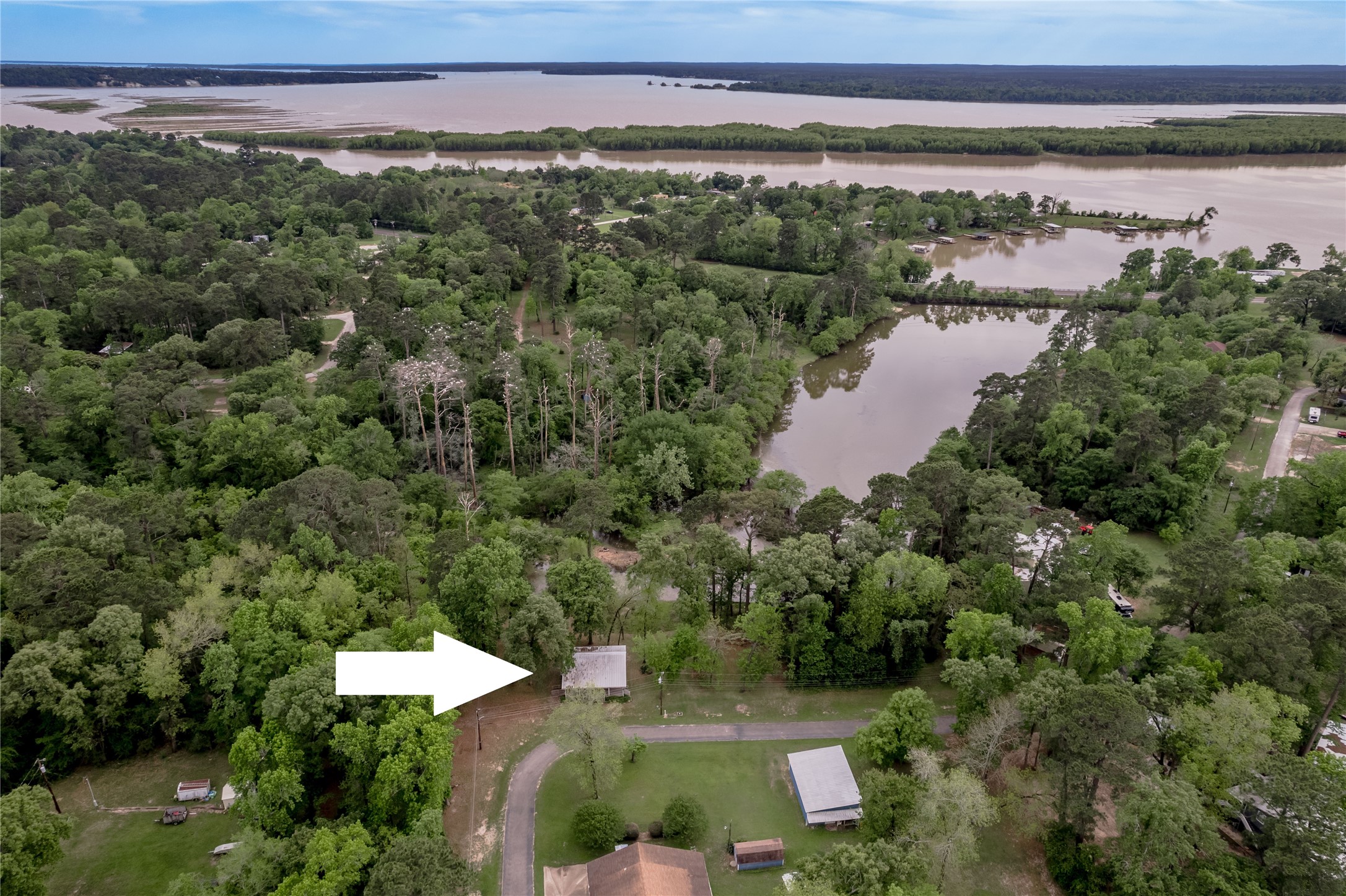 318 Timberline Drive Trinity, TX 75862 - Photo 3 of 49