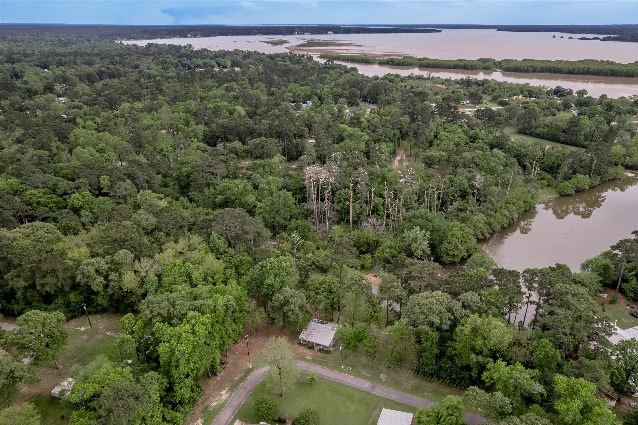 318 Timberline Drive Trinity, TX 75862 - Photo 46 of 49