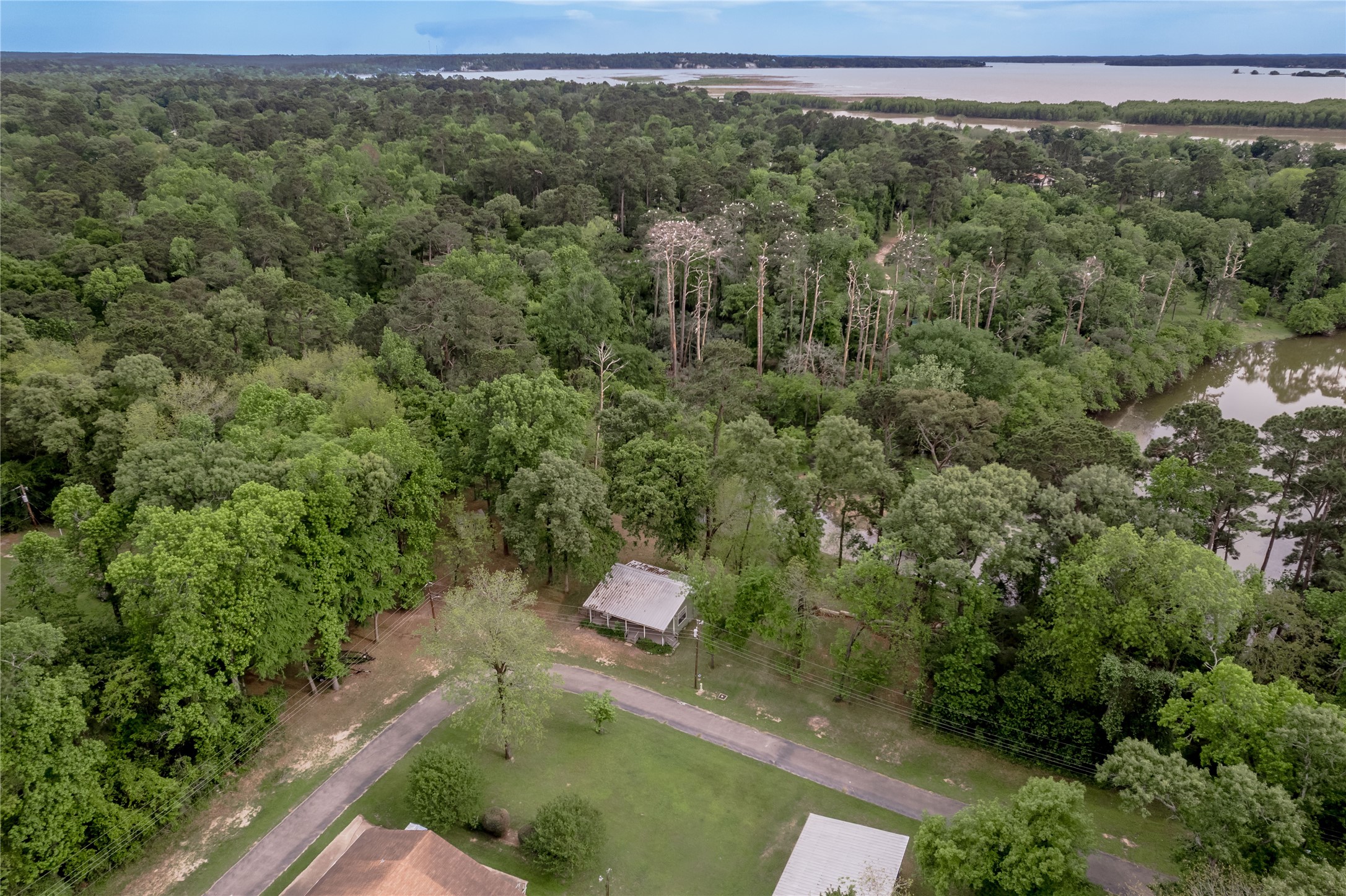 318 Timberline Drive Trinity, TX 75862 - Photo 48 of 49