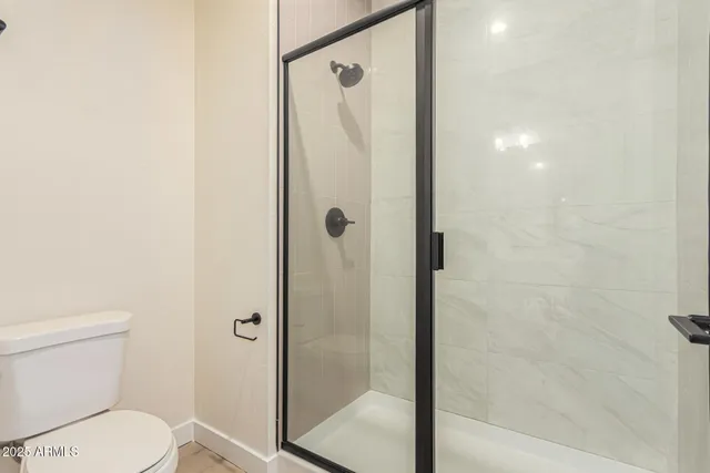 a bathroom with a shower and toilet