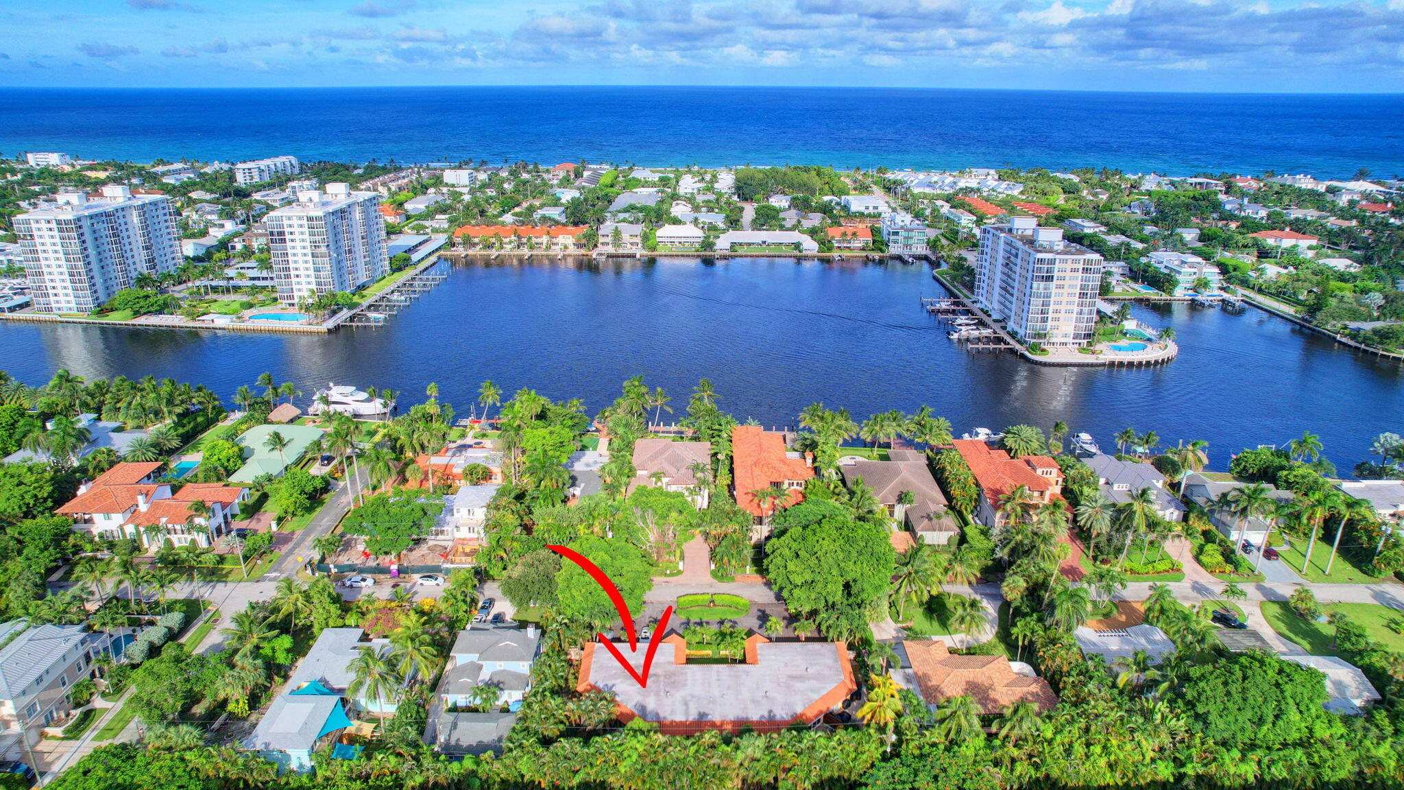 318 Southeast 7th Avenue, Unit 3 Delray Beach, FL 33483 - Photo 37 of 44 a view of a flower