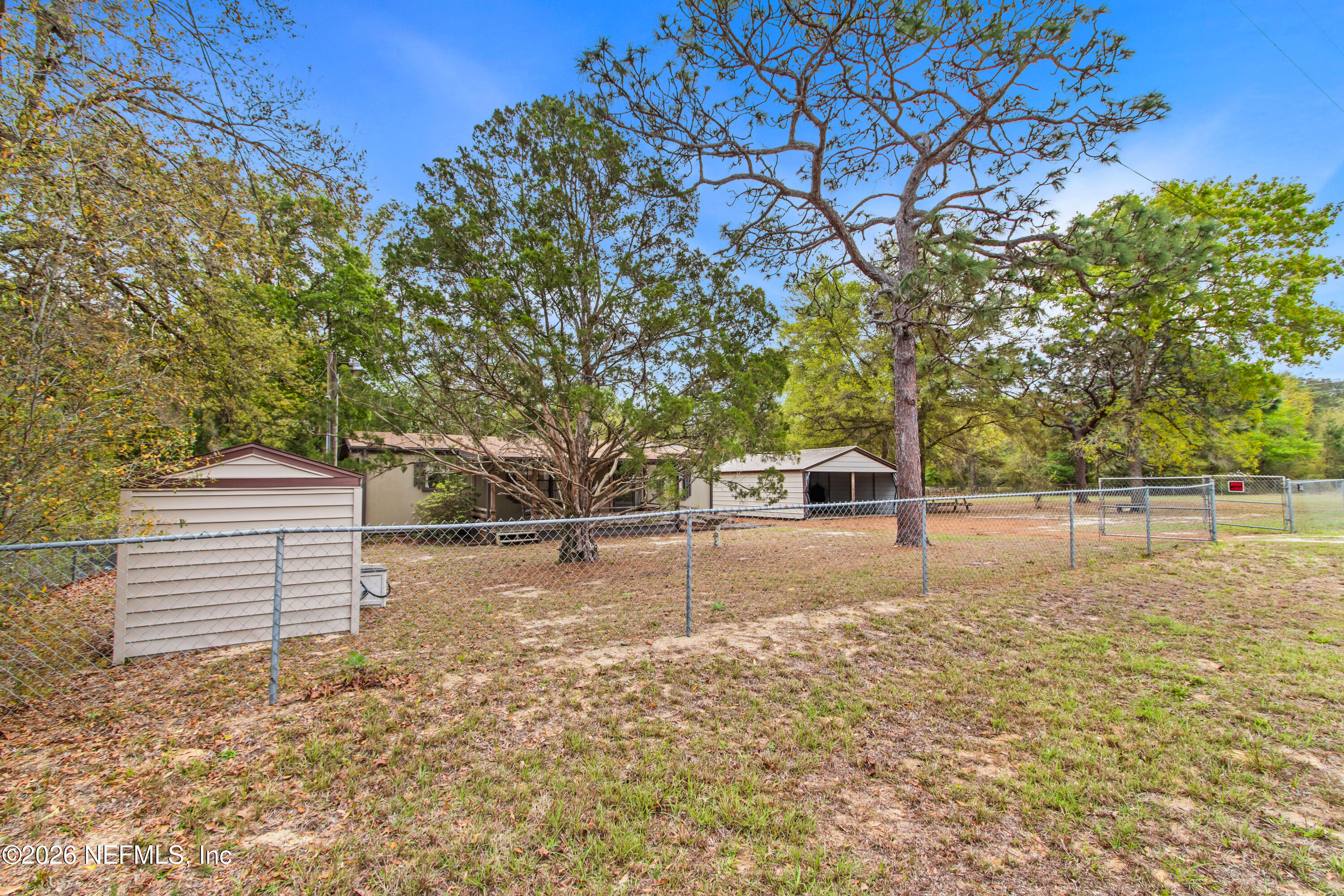 206 Anthony Avenue Interlachen, FL 32148 - Photo 30 of 32 a view of a yard with plants and trees