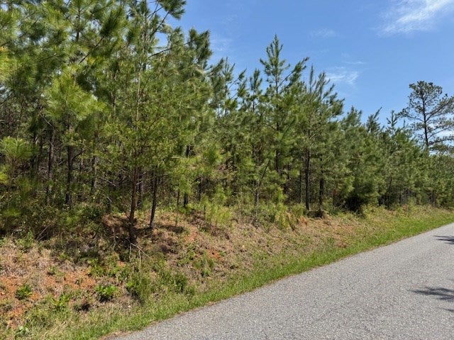 Stage Road, Unit 3 Spout Spring, VA 24593 - Photo 5 of 8 Gallery Image 5