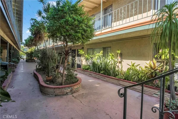 a view of a backyard with plants