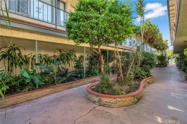 a view of a garden with plants