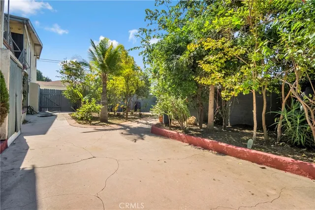a view of a backyard with plants and trees