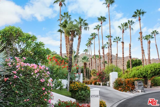 a view of a yard with plants
