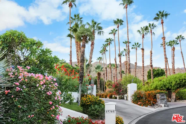a view of a yard with plants