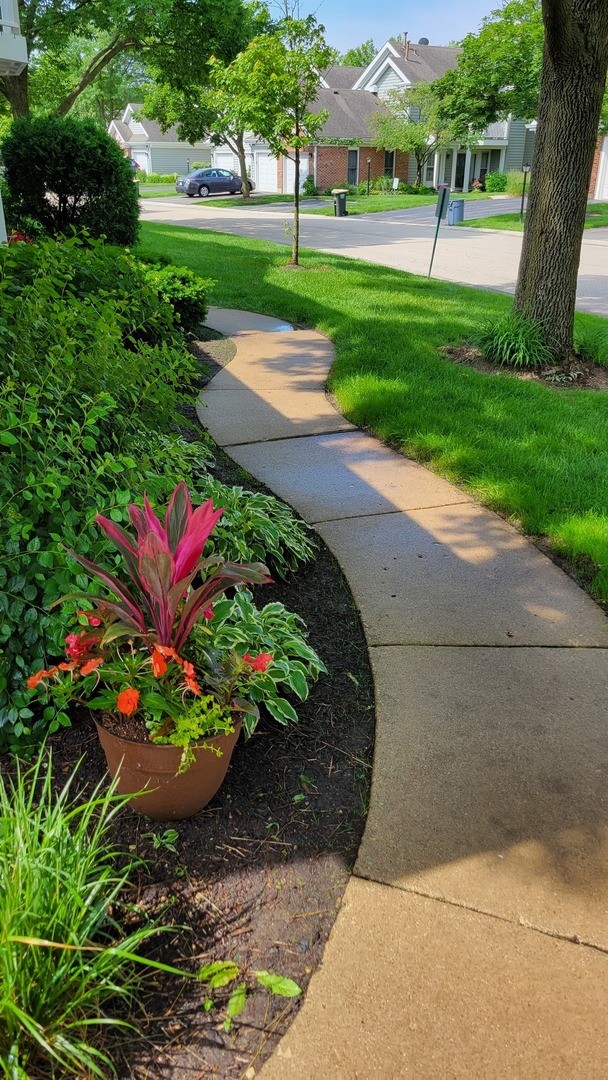 1929 Stillwater Road Arlington Heights, IL 60004 - Photo 27 of 29 a view of a garden with a fountain